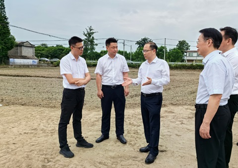 胡云赴眉山调研耕地保；；；；；；；だ煤透弑曜寂┨锝ㄉ韫ぷ