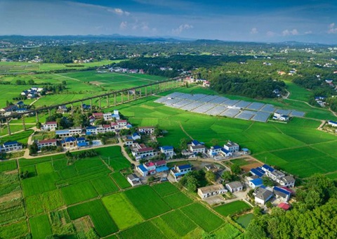 湖南：靶向发力盘活存量土地资产<br>为206家机关企事业单位定制处置方案，，，，，，，盘活土地2.6万亩