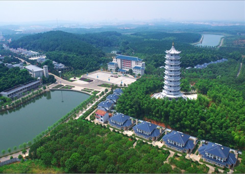 湖北：用好“一张图” ，，，，，智治有支撑